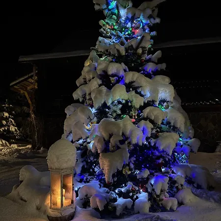 ロッジ Kalinka バコヴェル